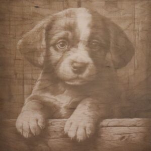 3d Illusion of a puppy with its paws on logs